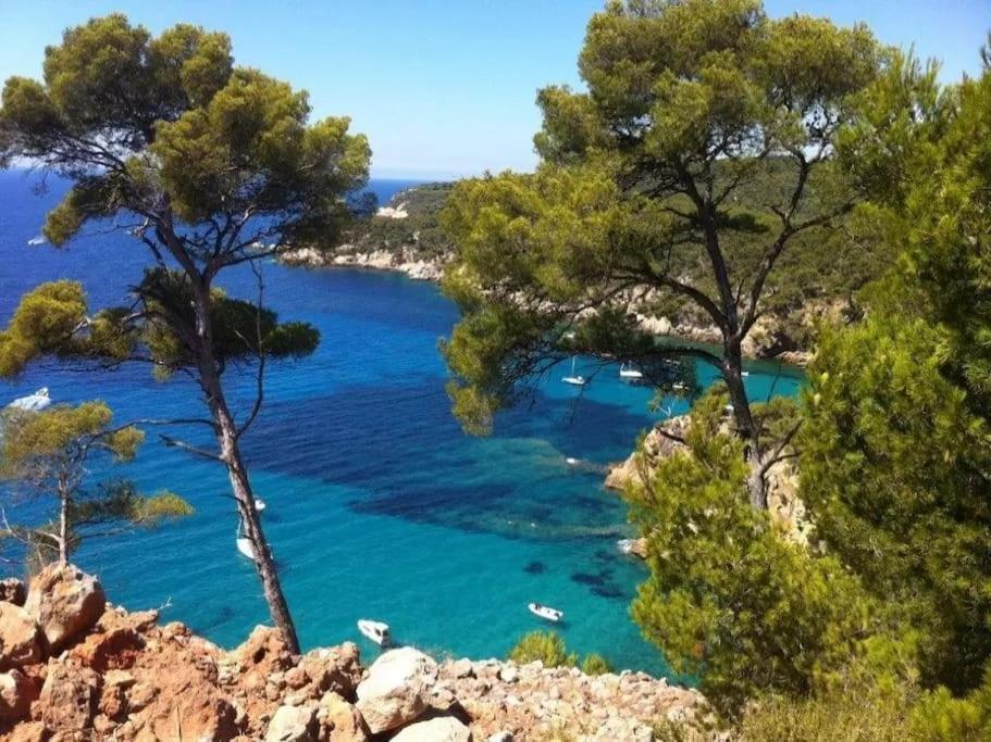 Brad'S House. Apartment Saint-Cyr-sur-Mer Bagian luar foto